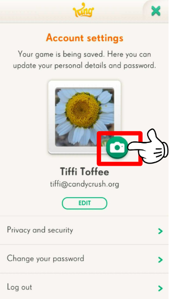 Account settings' screen. It shows the avatar, name, email address. From here you can also access privacy and security, change your password and log out. Next to the avatar, there's a camera icon you need to click to change your picture in the game