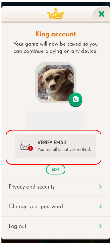Écran de profil. La notification de vérification de l’e‑mail est mise en évidence en rouge